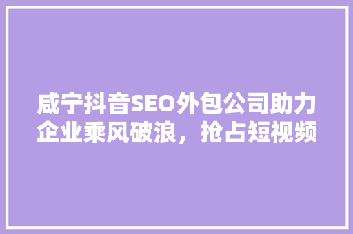 咸宁抖音SEO外包公司助力企业乘风破浪，抢占短视频流量高地