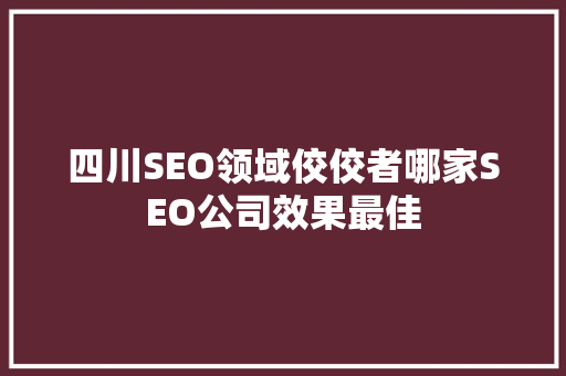 四川SEO领域佼佼者哪家SEO公司效果最佳