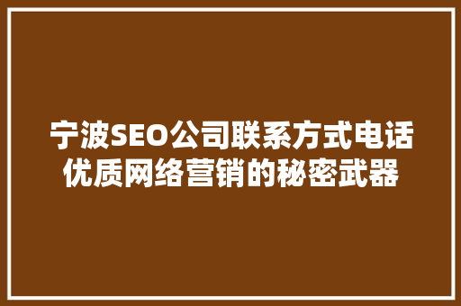 宁波SEO公司联系方式电话优质网络营销的秘密武器