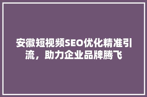 安徽短视频SEO优化精准引流，助力企业品牌腾飞