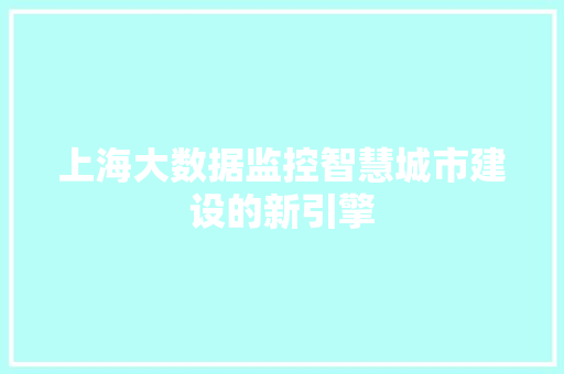 上海大数据监控智慧城市建设的新引擎
