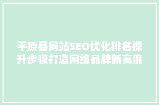 平原县网站SEO优化排名提升步骤打造网络品牌新高度