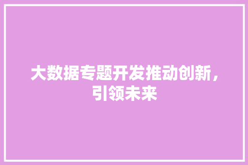 大数据专题开发推动创新，引领未来
