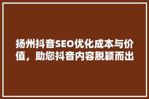 扬州抖音SEO优化成本与价值，助您抖音内容脱颖而出