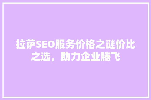 拉萨SEO服务价格之谜价比之选，助力企业腾飞
