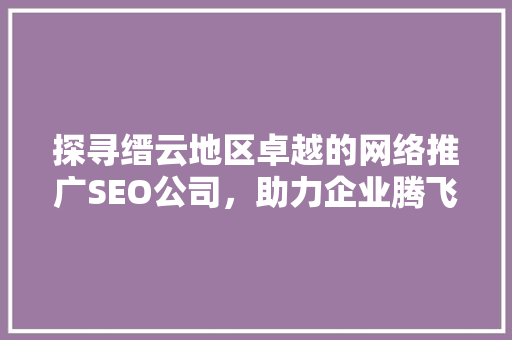 探寻缙云地区卓越的网络推广SEO公司，助力企业腾飞  第1张