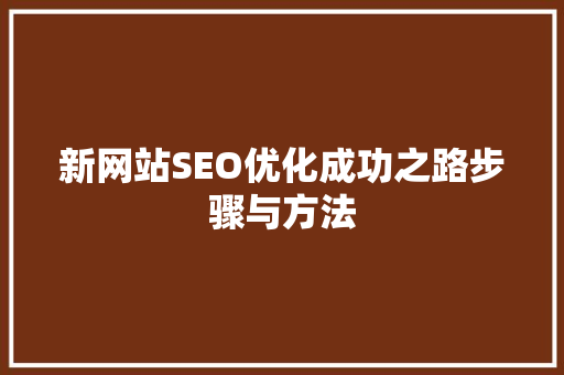 新网站SEO优化成功之路步骤与方法  第1张