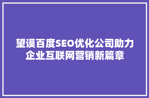 望谟百度SEO优化公司助力企业互联网营销新篇章