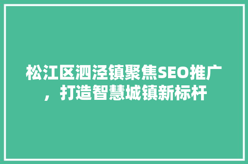 松江区泗泾镇聚焦SEO推广，打造智慧城镇新标杆