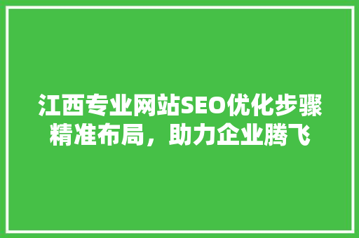 江西专业网站SEO优化步骤精准布局，助力企业腾飞