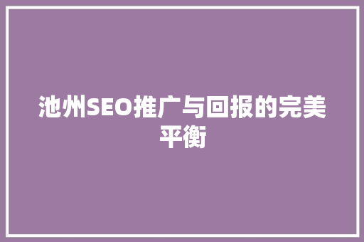 池州SEO推广与回报的完美平衡