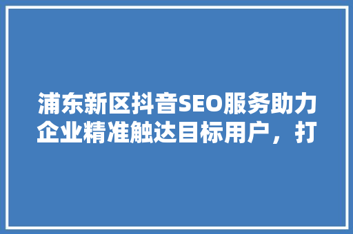 浦东新区抖音SEO服务助力企业精准触达目标用户，打造品牌影响力