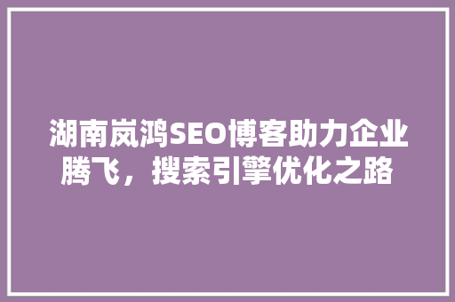 湖南岚鸿SEO博客助力企业腾飞，搜索引擎优化之路