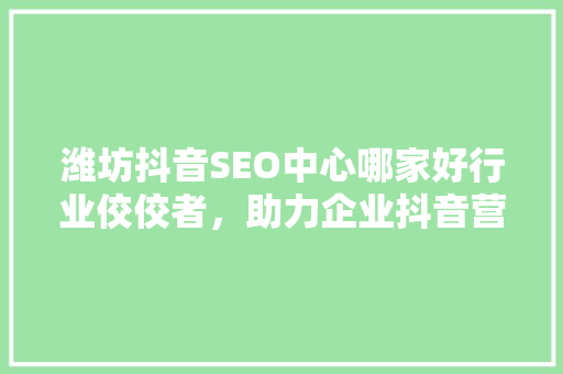 潍坊抖音SEO中心哪家好行业佼佼者，助力企业抖音营销之路