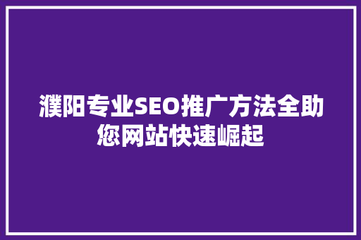 濮阳专业SEO推广方法全助您网站快速崛起