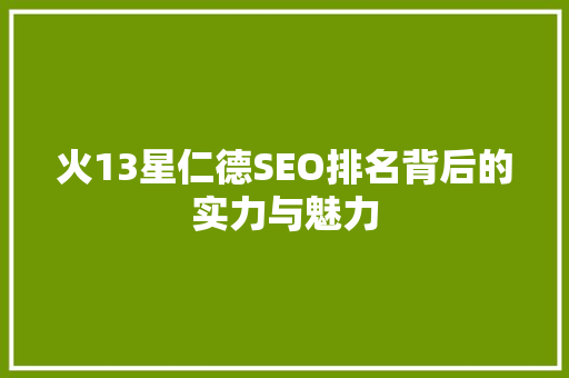 火13星仁德SEO排名背后的实力与魅力