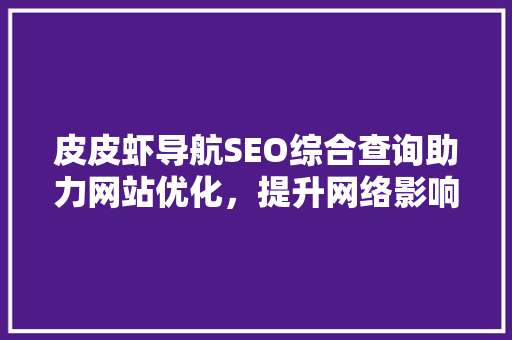 皮皮虾导航SEO综合查询助力网站优化，提升网络影响力