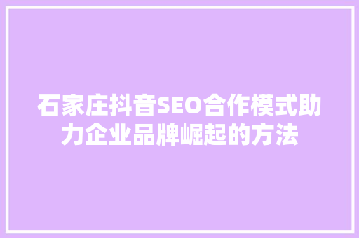 石家庄抖音SEO合作模式助力企业品牌崛起的方法