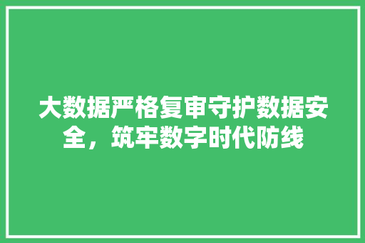 大数据严格复审守护数据安全，筑牢数字时代防线