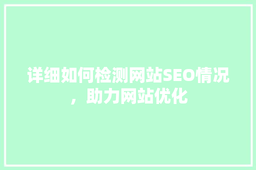 详细如何检测网站SEO情况，助力网站优化