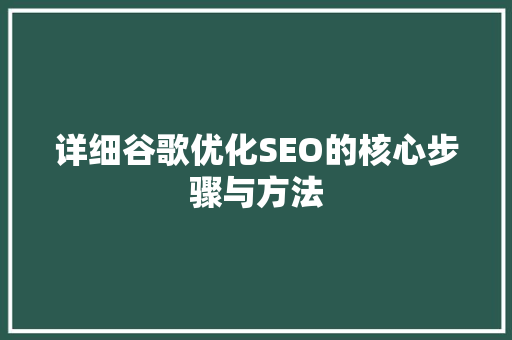 详细谷歌优化SEO的核心步骤与方法  第1张