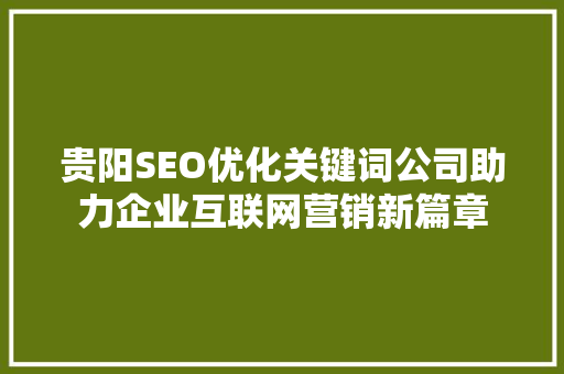 贵阳SEO优化关键词公司助力企业互联网营销新篇章  第1张