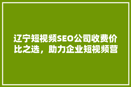 辽宁短视频SEO公司收费价比之选，助力企业短视频营销腾飞