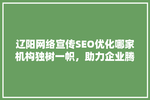 辽阳网络宣传SEO优化哪家机构独树一帜，助力企业腾飞