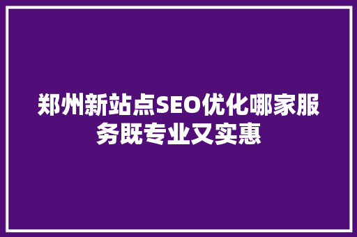 郑州新站点SEO优化哪家服务既专业又实惠
