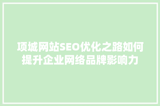 项城网站SEO优化之路如何提升企业网络品牌影响力