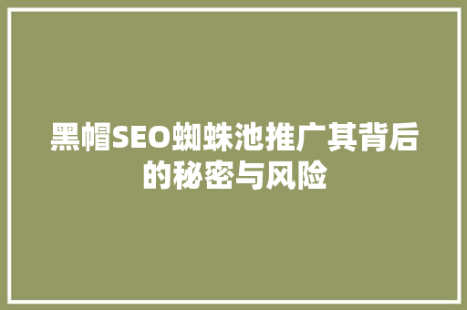 黑帽SEO蜘蛛池推广其背后的秘密与风险