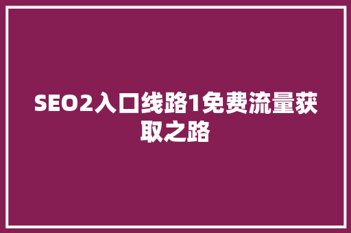 SEO2入口线路1免费流量获取之路