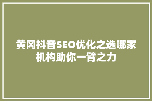 黄冈抖音SEO优化之选哪家机构助你一臂之力