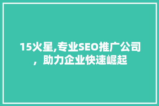 15火星,专业SEO推广公司，助力企业快速崛起
