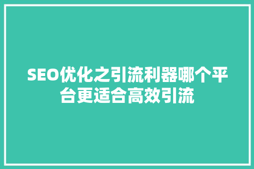 SEO优化之引流利器哪个平台更适合高效引流