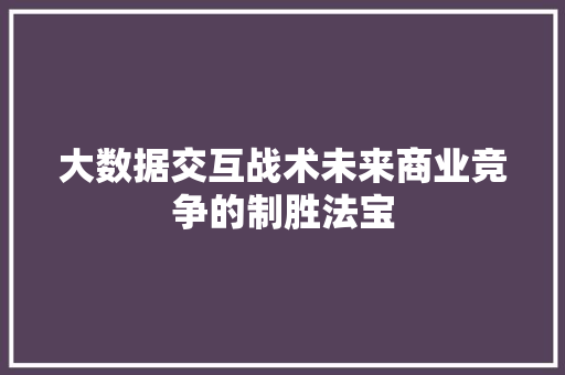 大数据交互战术未来商业竞争的制胜法宝
