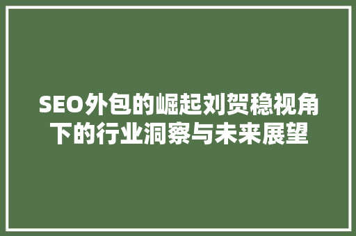SEO外包的崛起刘贺稳视角下的行业洞察与未来展望