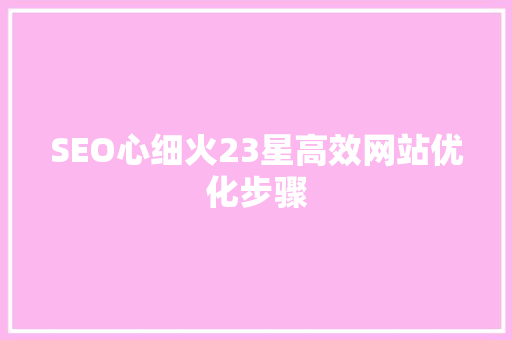 SEO心细火23星高效网站优化步骤