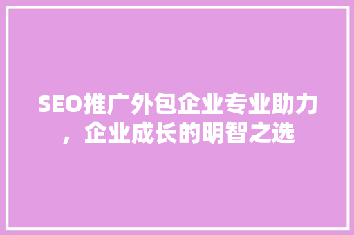 SEO推广外包企业专业助力，企业成长的明智之选