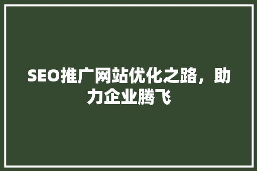 SEO推广网站优化之路，助力企业腾飞  第1张