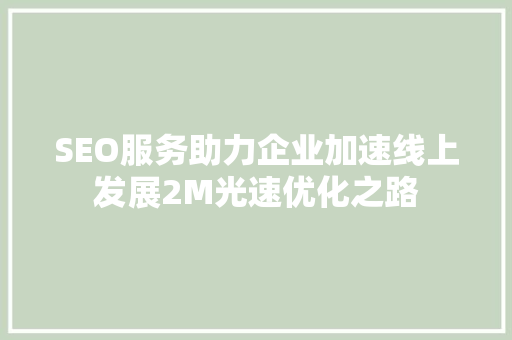 SEO服务助力企业加速线上发展2M光速优化之路