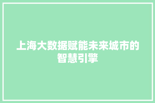 上海大数据赋能未来城市的智慧引擎