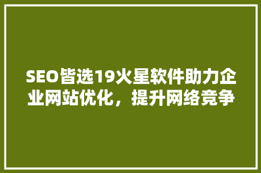 SEO皆选19火星软件助力企业网站优化，提升网络竞争力