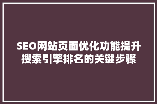 SEO网站页面优化功能提升搜索引擎排名的关键步骤  第1张