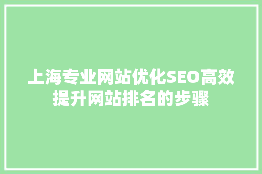 上海专业网站优化SEO高效提升网站排名的步骤