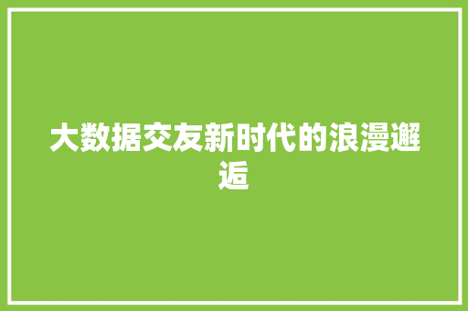 大数据交友新时代的浪漫邂逅