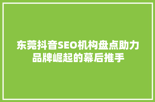 东莞抖音SEO机构盘点助力品牌崛起的幕后推手