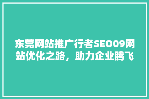 东莞网站推广行者SEO09网站优化之路，助力企业腾飞