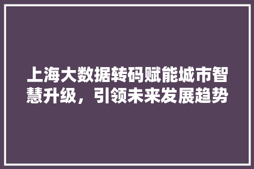上海大数据转码赋能城市智慧升级，引领未来发展趋势