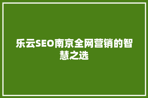 乐云SEO南京全网营销的智慧之选